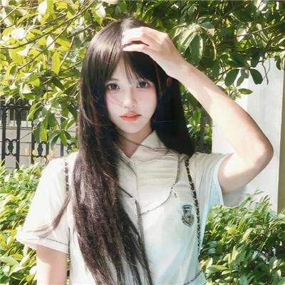 犯罪生涯